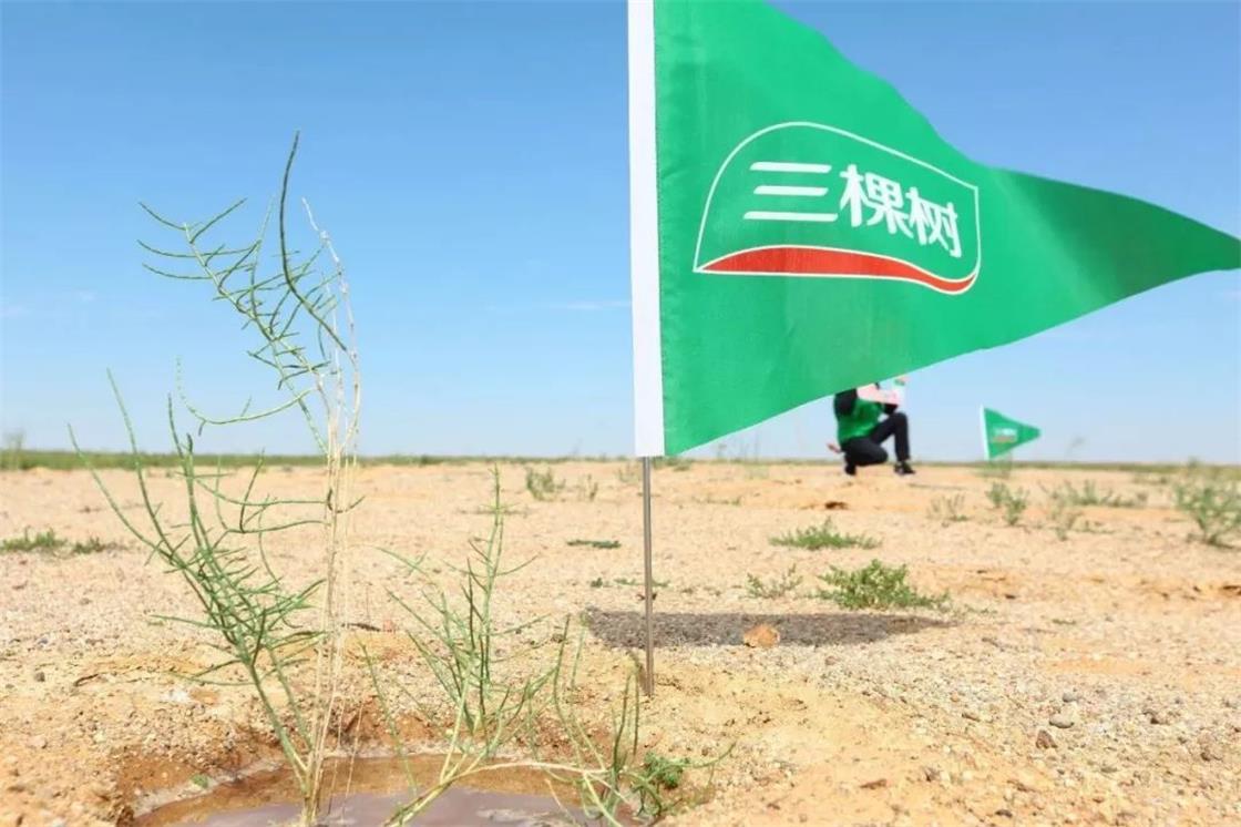 1669688923477920MAkD.jpg 圖片1.jpg